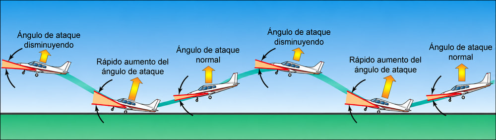 Figura 8-36. Delfineo.